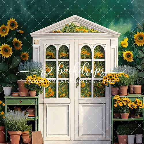 Sunflowers of Summer