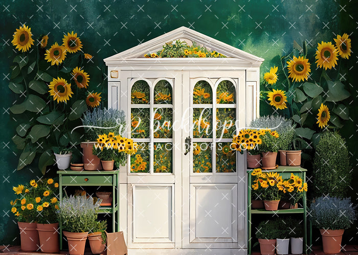 Sunflowers of Summer