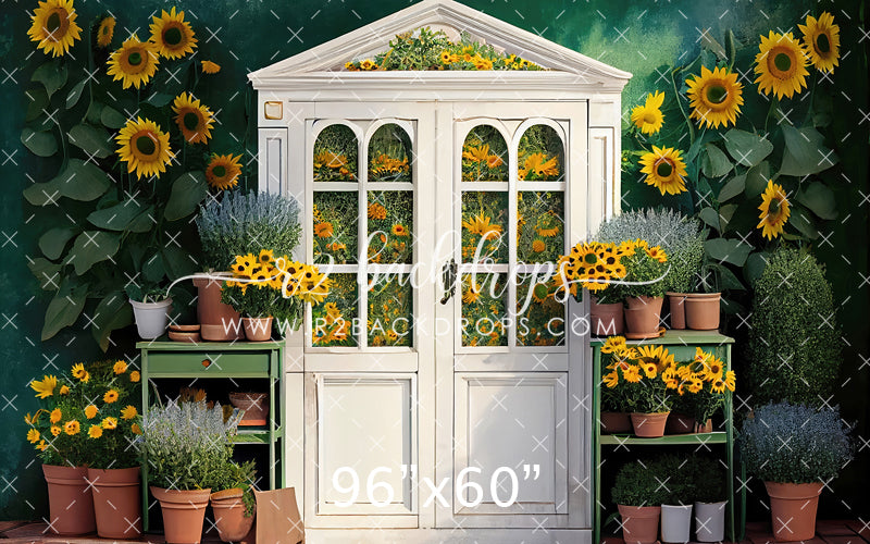 Sunflowers of Summer