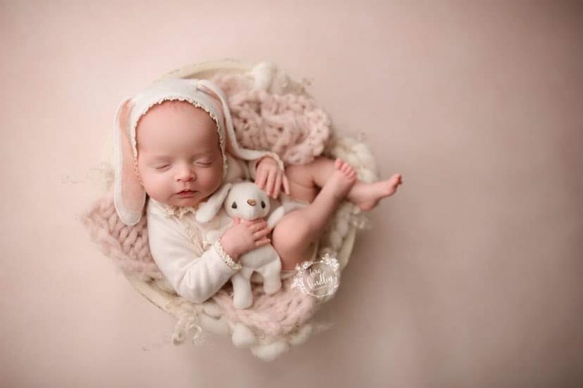 Solid Soft Pink