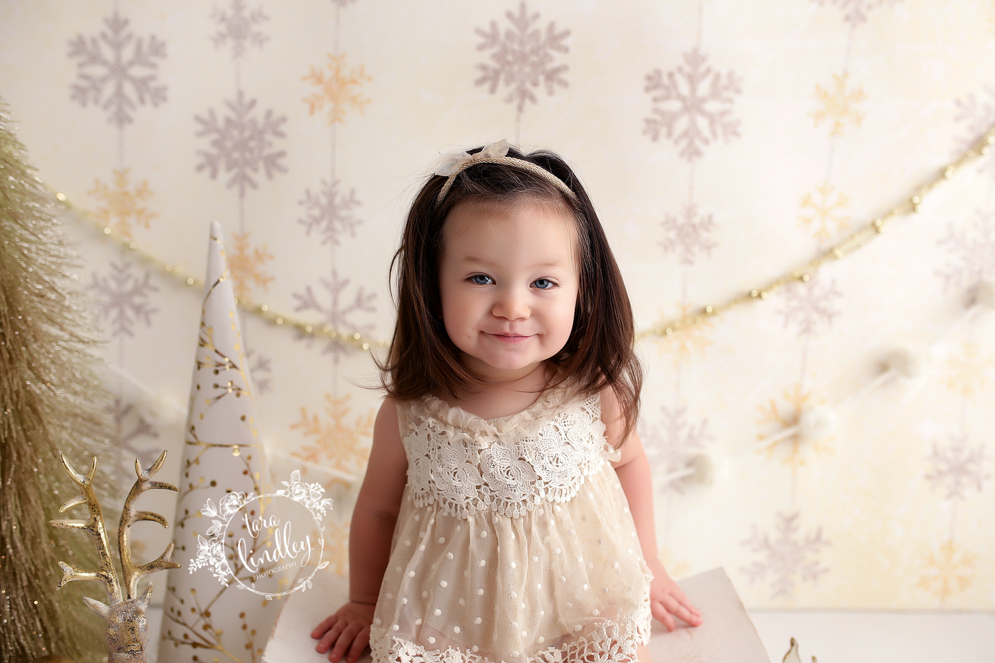 Winter Snowflakes - Warm Tones