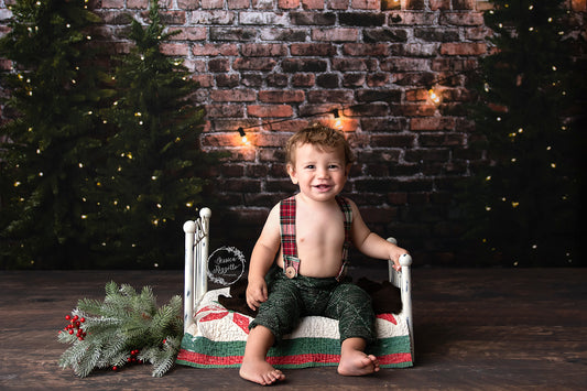 Christmas Brick
