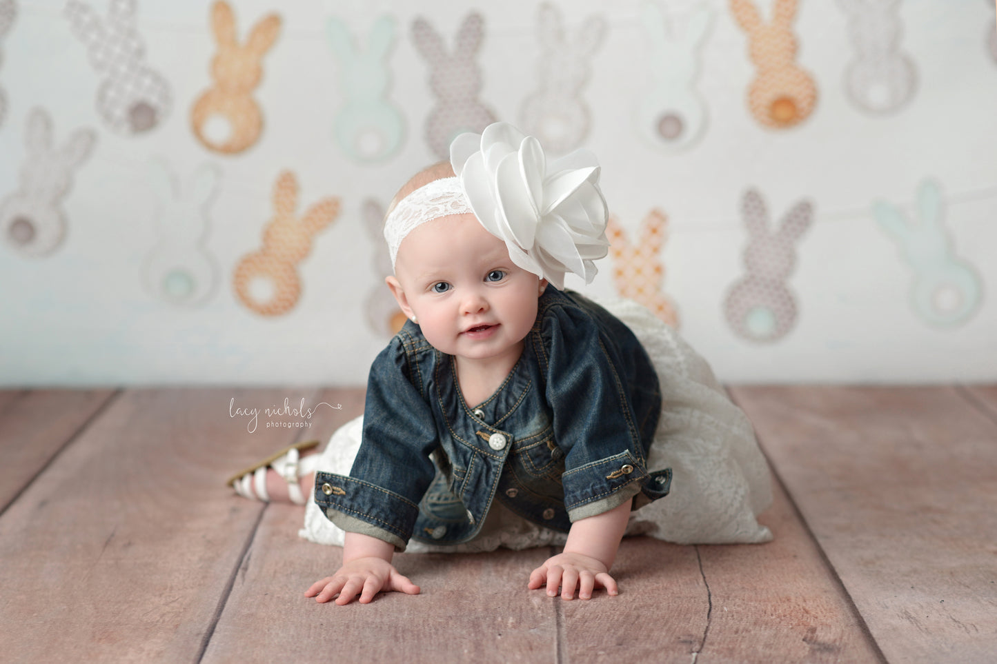 Cotton Tail