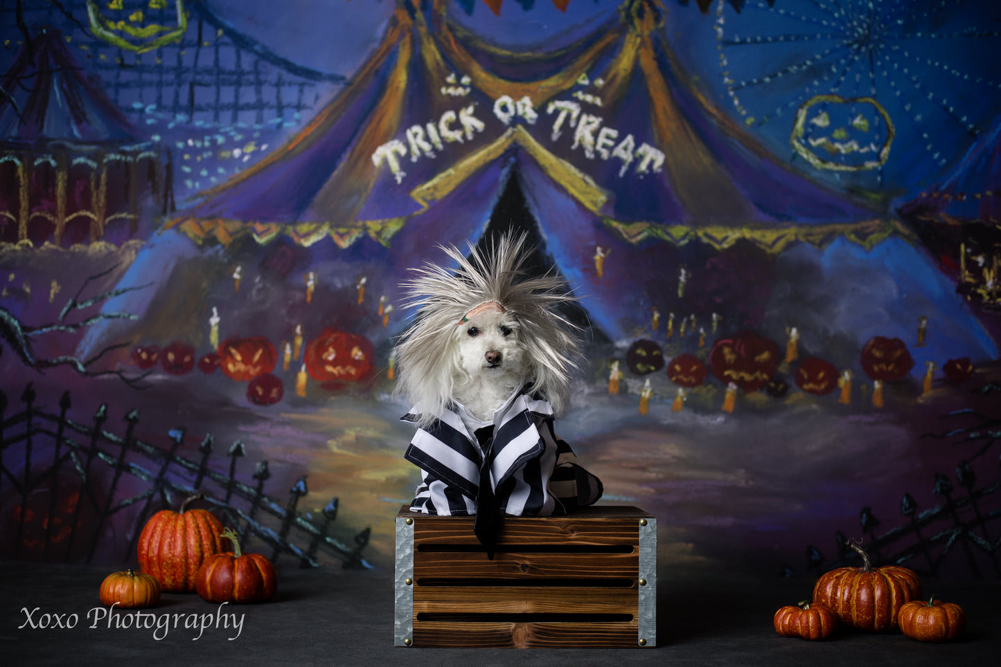 Happy Halloween
