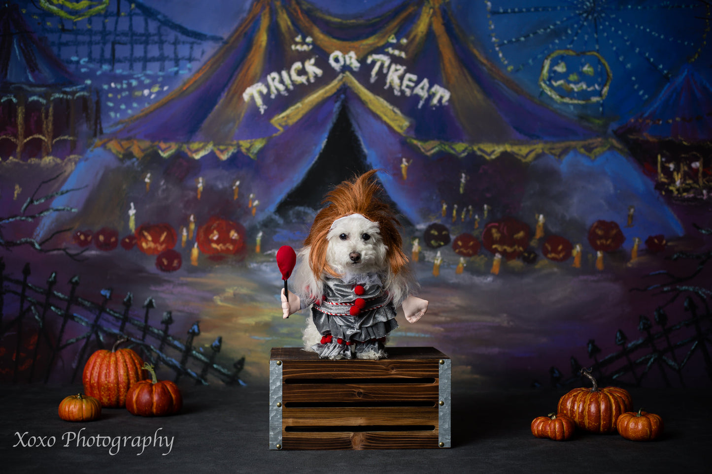 Happy Halloween