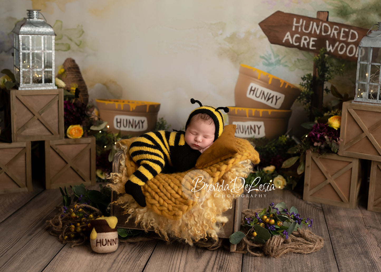 Hunny Bear