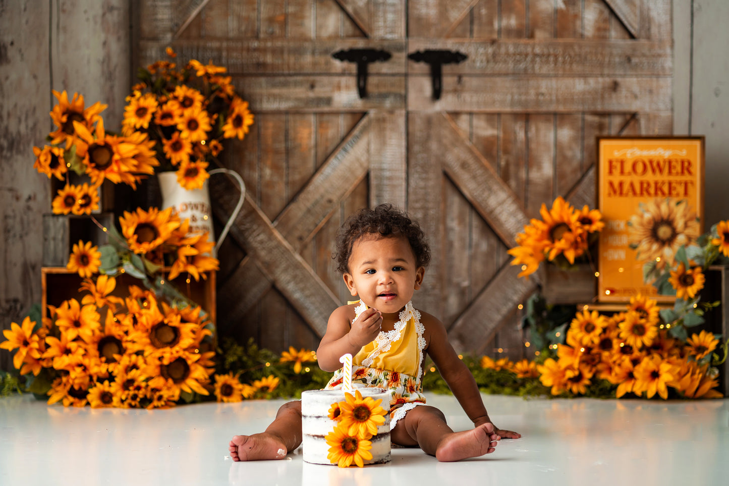 Sunflower Blaine