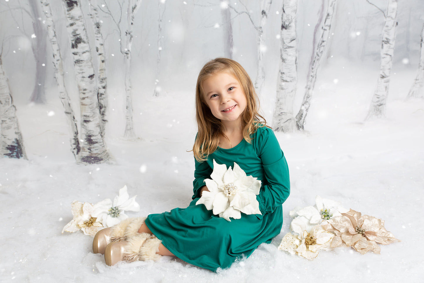 Snow Ground