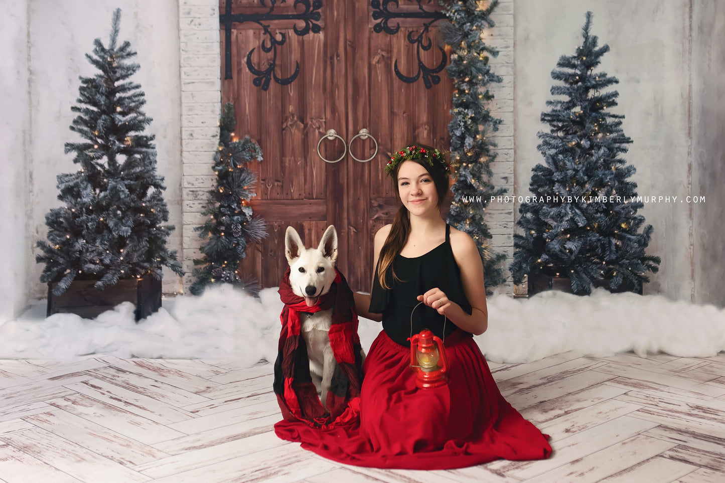 Welcome Christmas
