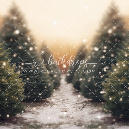 Snow Fall Tree Farm - Fabric Special Pricing