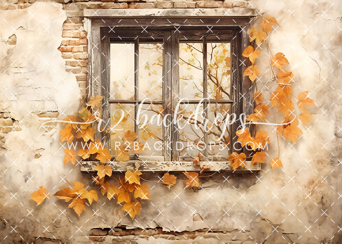Fall Window