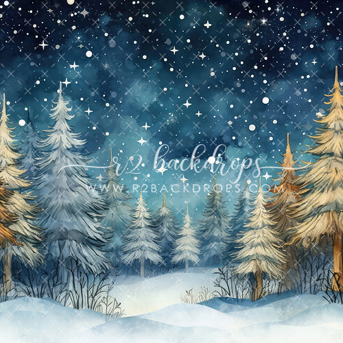 Winter Trees and Stars