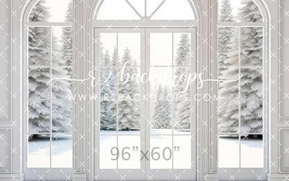 White Winter Door