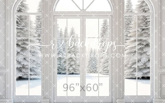 White Winter Door - Special Pricing