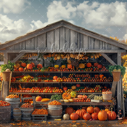 Pumpkin Harvest