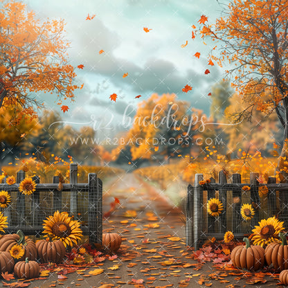 Fall Sunflowers