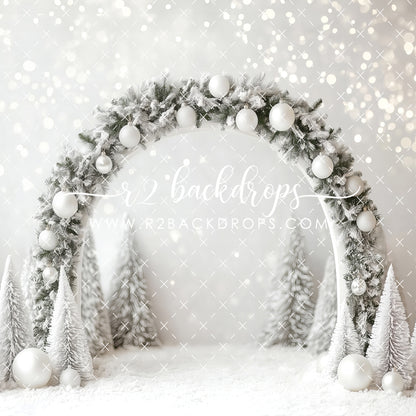 Snowy Winter Arch