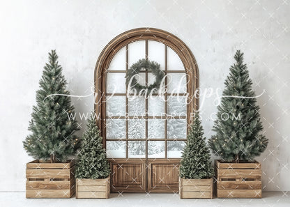 Rustic Winter