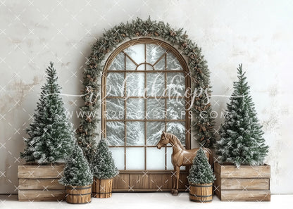 Winter View