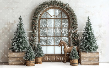 Winter View