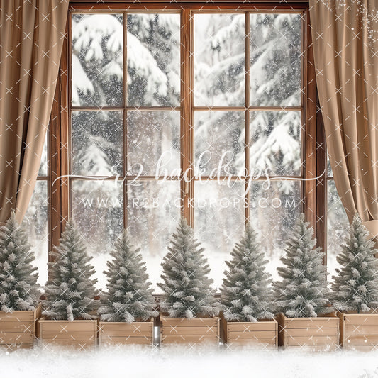 Festive Window