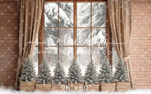 Festive Window