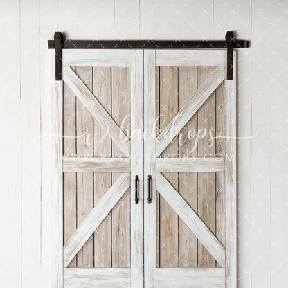 Vintage Barn Door