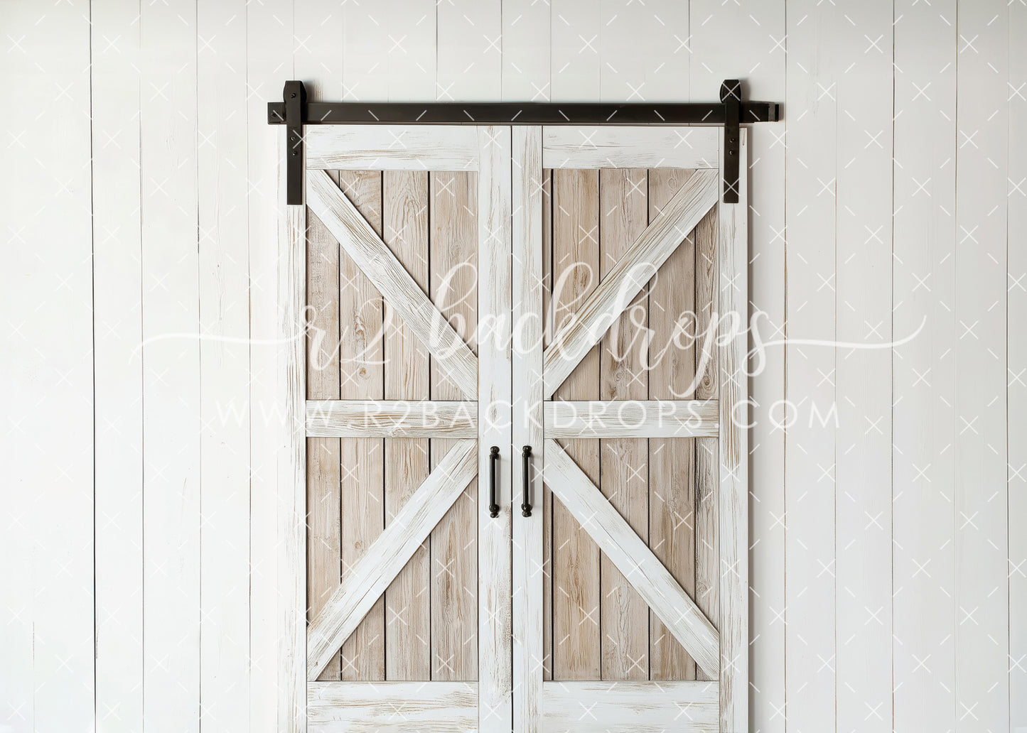 Vintage Barn Door