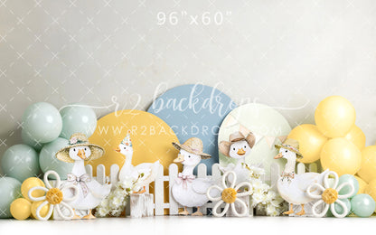 One Silly Goose - Special Pricing