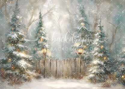 Whimsy Winter