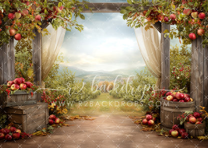 Apple Grove