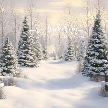 Silent Snowfall