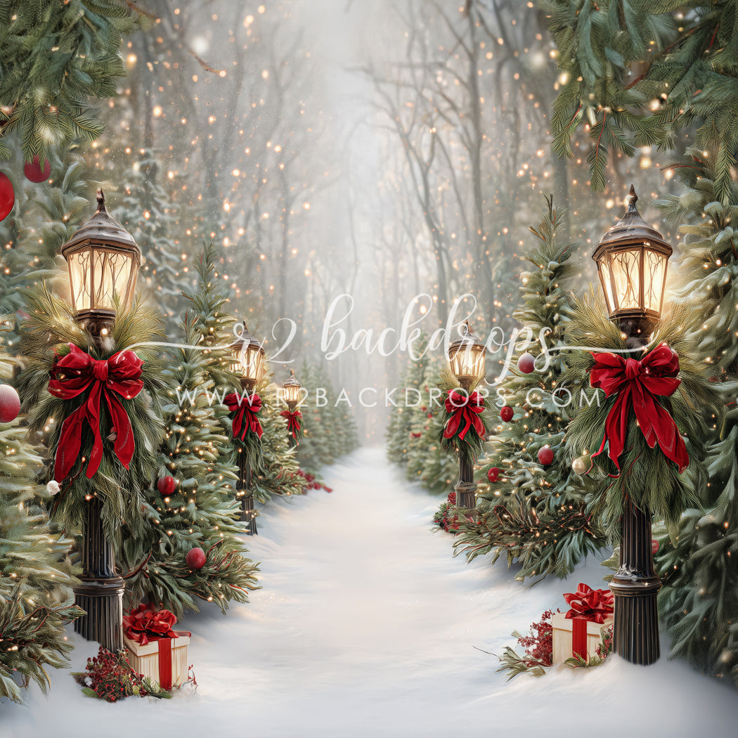 Jolly Snow Path