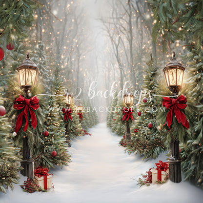 Jolly Snow Path