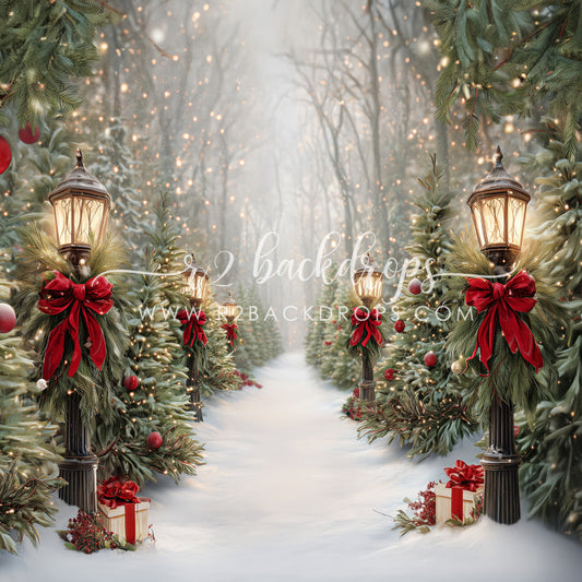Jolly Snow Path