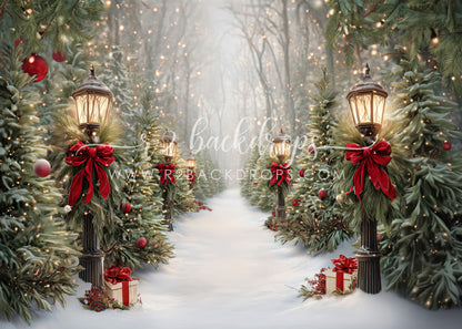 Jolly Snow Path