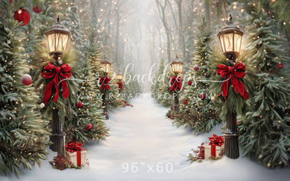 Jolly Snow Path