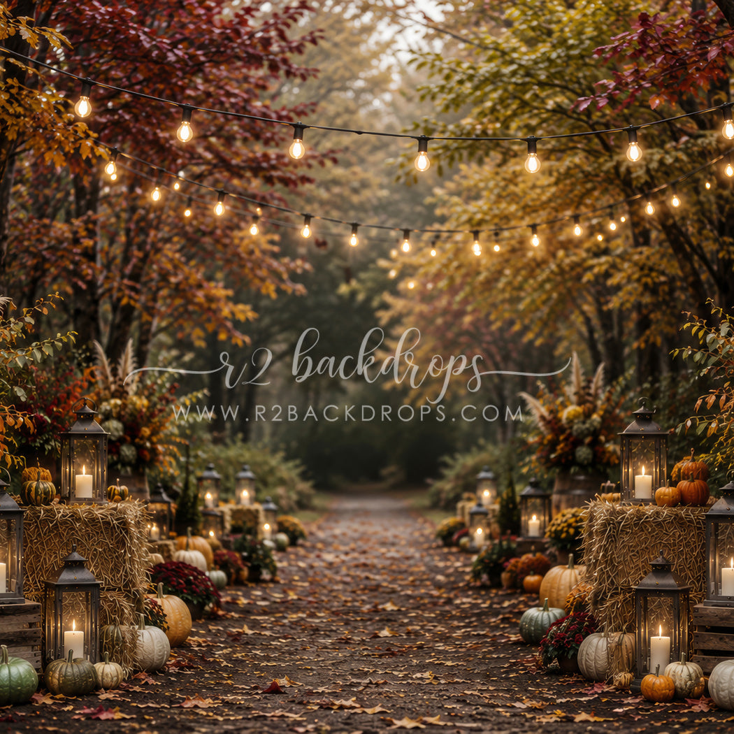 Fall Splendor