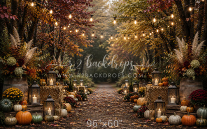 Fall Splendor