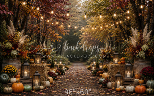 Fall Splendor