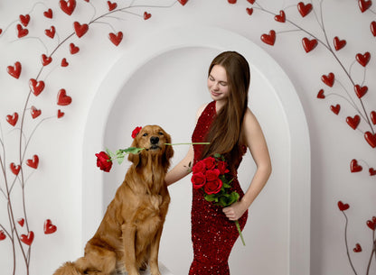 Valentine Wall Arch