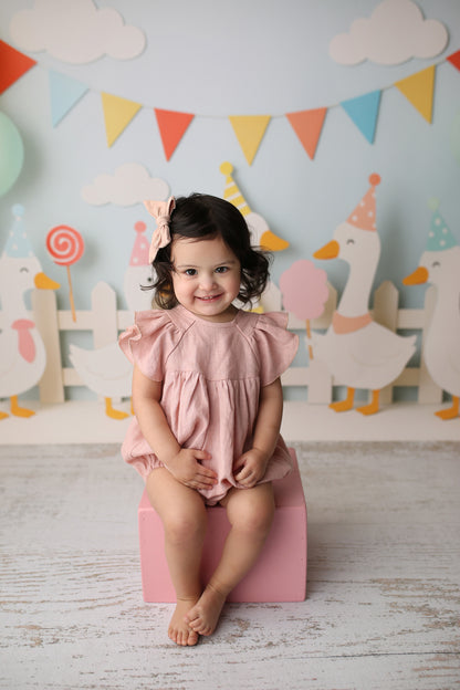 One Silly Goose Party - Special Pricing