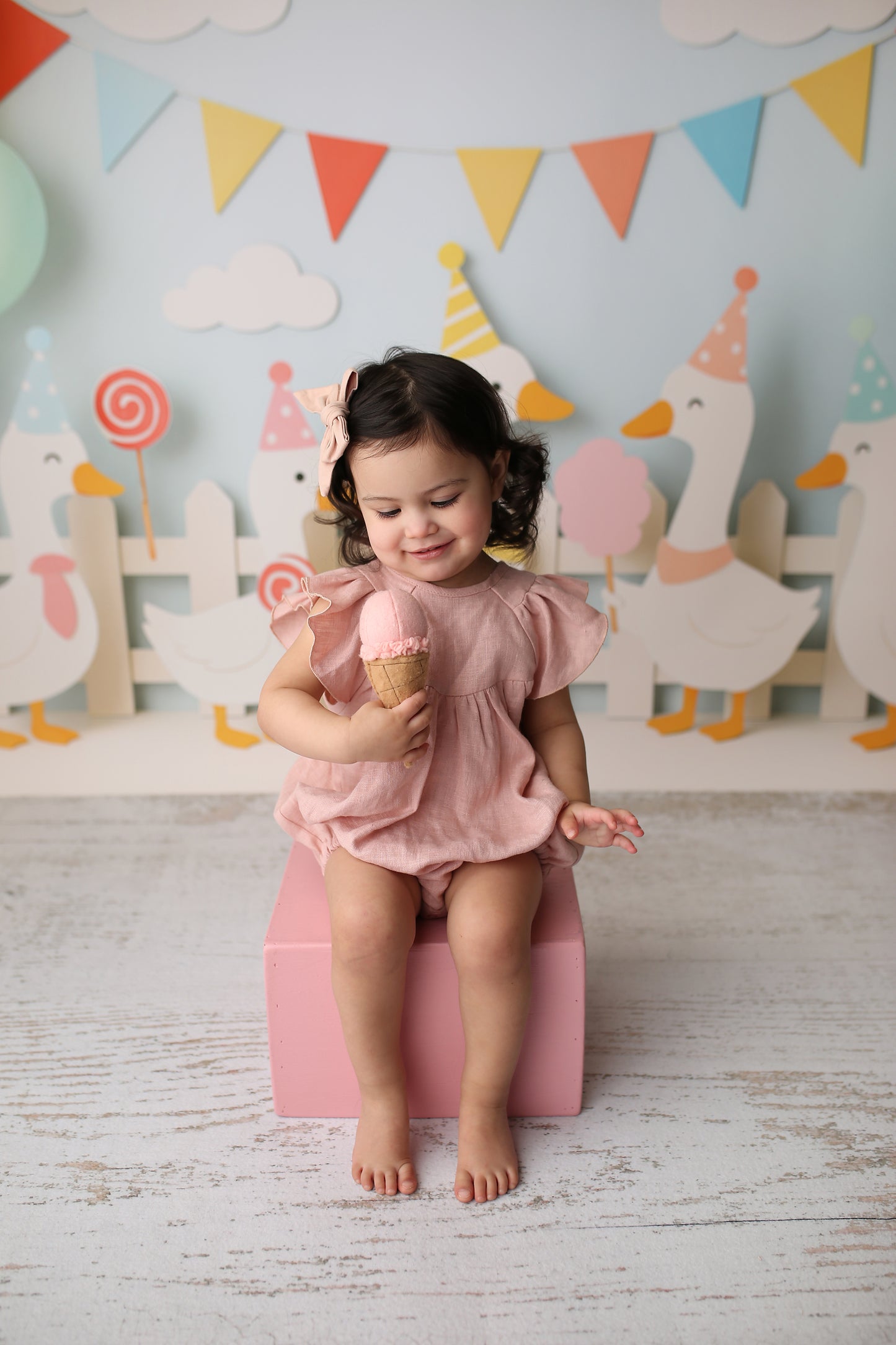 One Silly Goose Party - Special Pricing