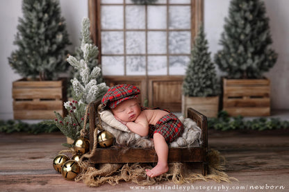 Rustic Winter