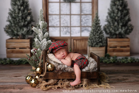 Rustic Winter