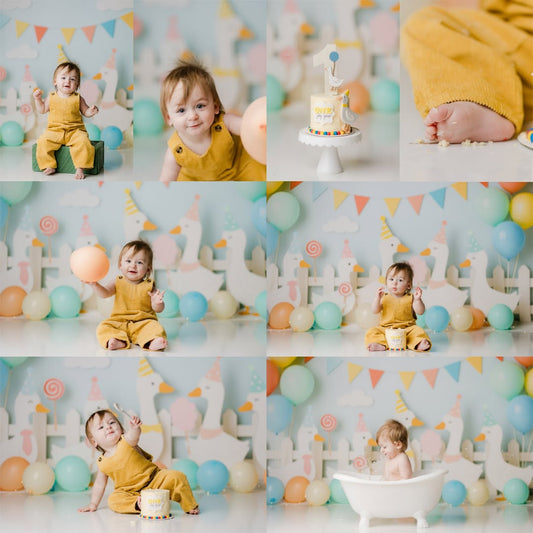 One Silly Goose Party - Special Pricing