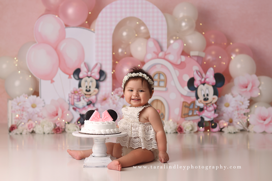Pink Mouse Party
