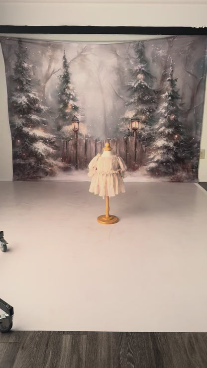 Whimsy Winter