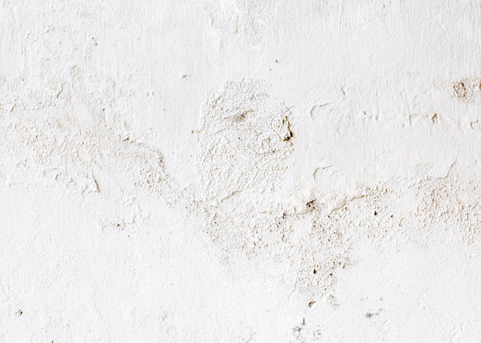 Plaster MIS-PRINT - POLY (Studio Sample - Perfect Condition)