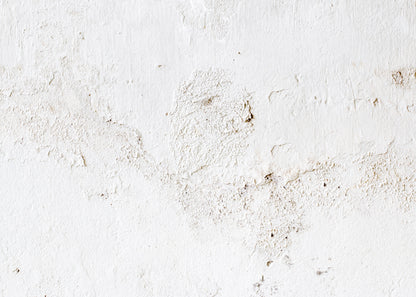 Plaster MIS-PRINT - POLY (Studio Sample - Perfect Condition)